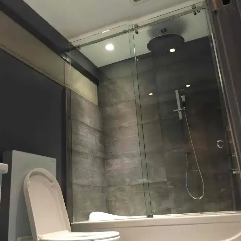 Shower Doors (2)